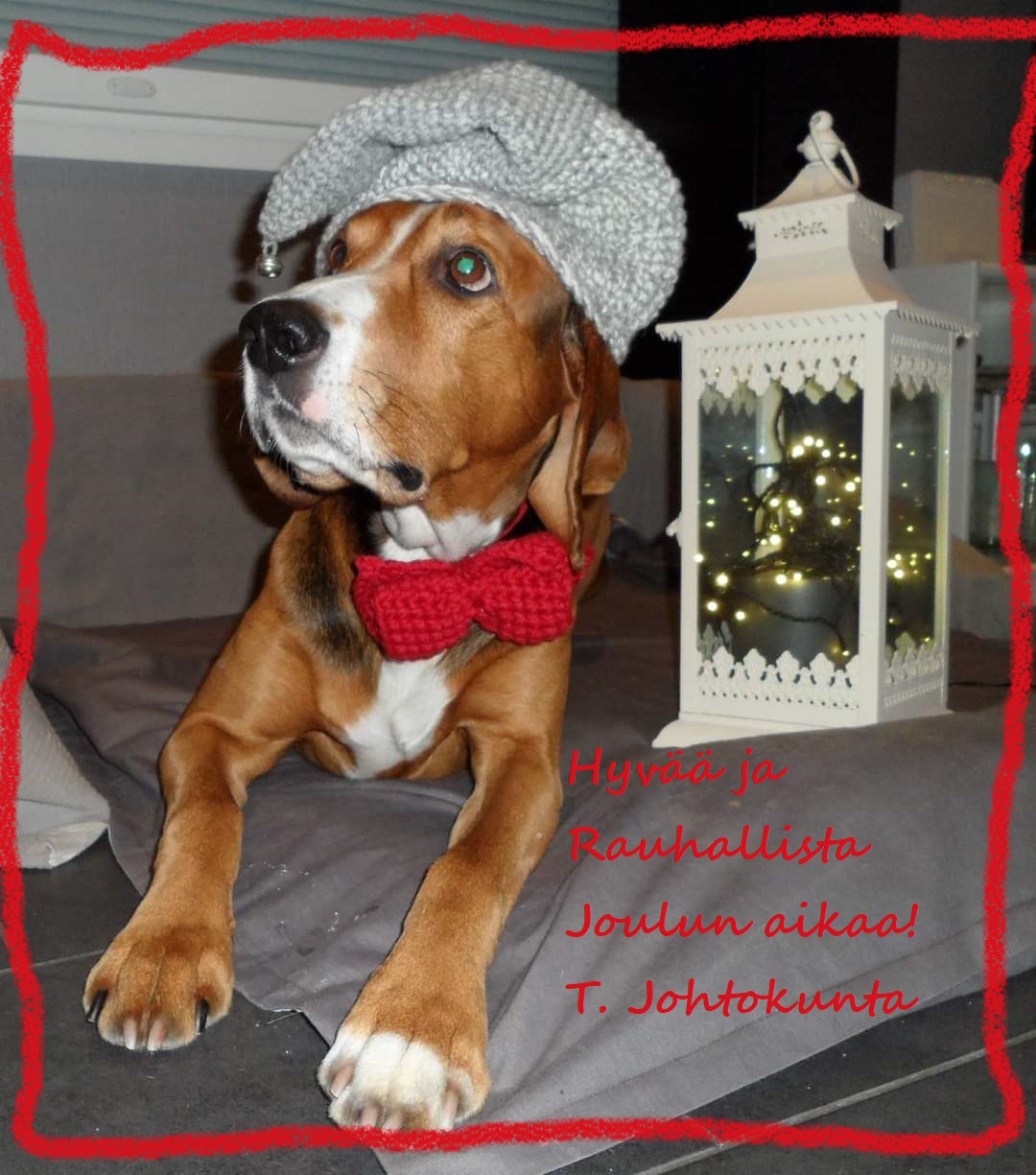 Joulukoira kennel